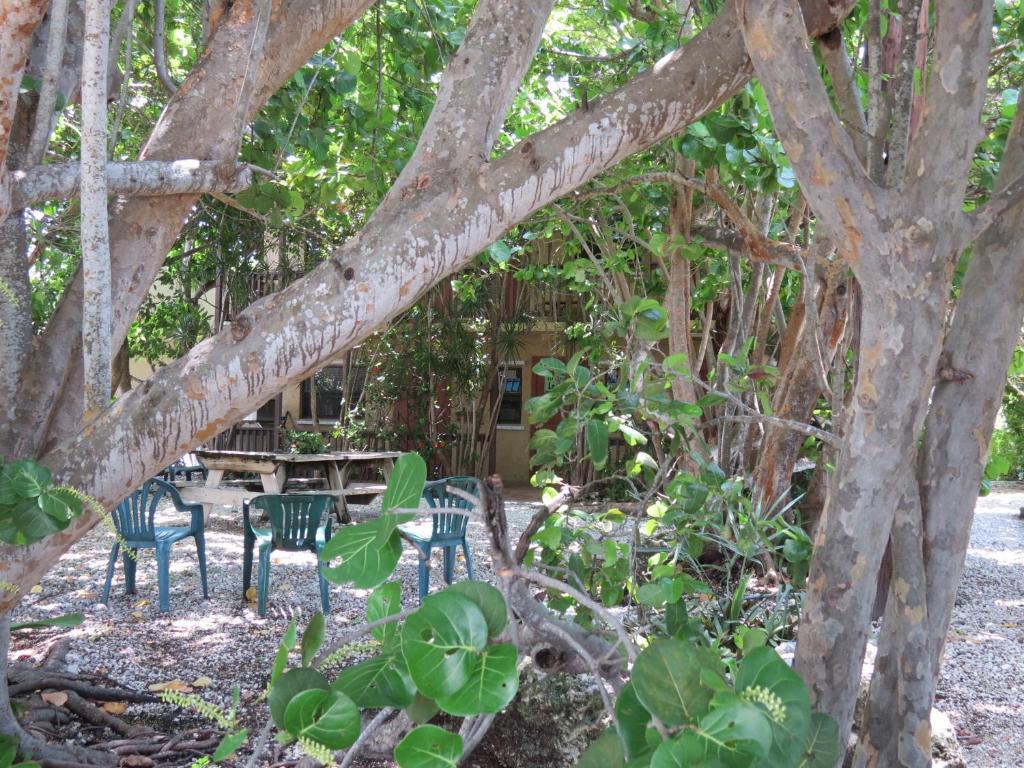 Motel Ed & Ellen'S Lodgings Key Largo Extérieur photo