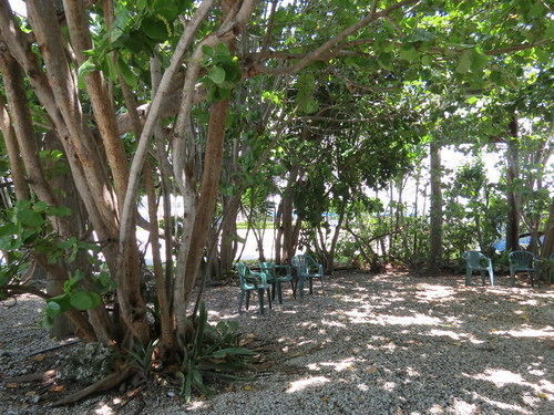Motel Ed & Ellen'S Lodgings Key Largo Extérieur photo