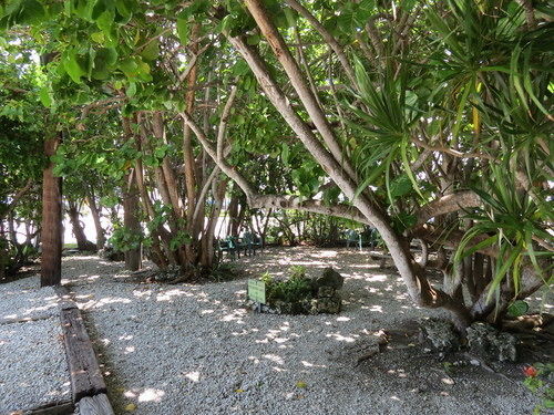 Motel Ed & Ellen'S Lodgings Key Largo Extérieur photo