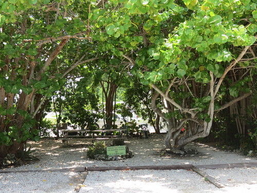 Motel Ed & Ellen'S Lodgings Key Largo Extérieur photo